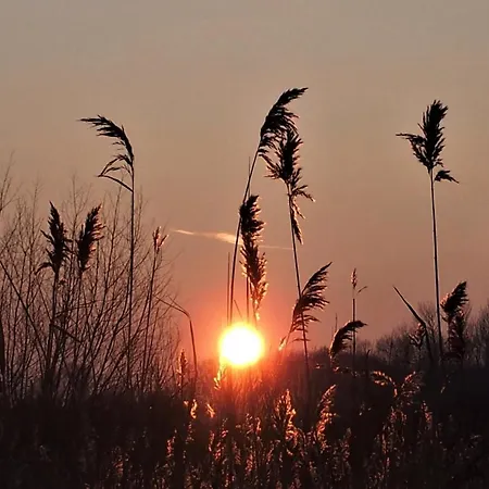 Pastelowe Mieszkanie Apartment *