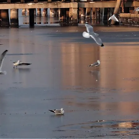 Pastelowe Mieszkanie