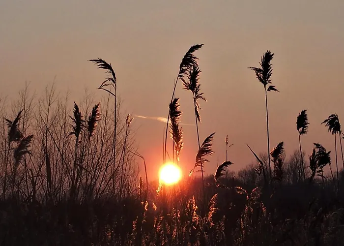 Pastelowe Mieszkanie דירה *