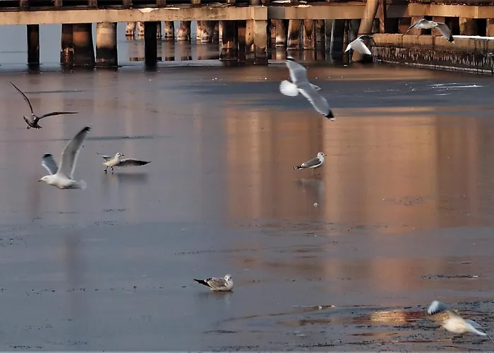 Pastelowe Mieszkanie